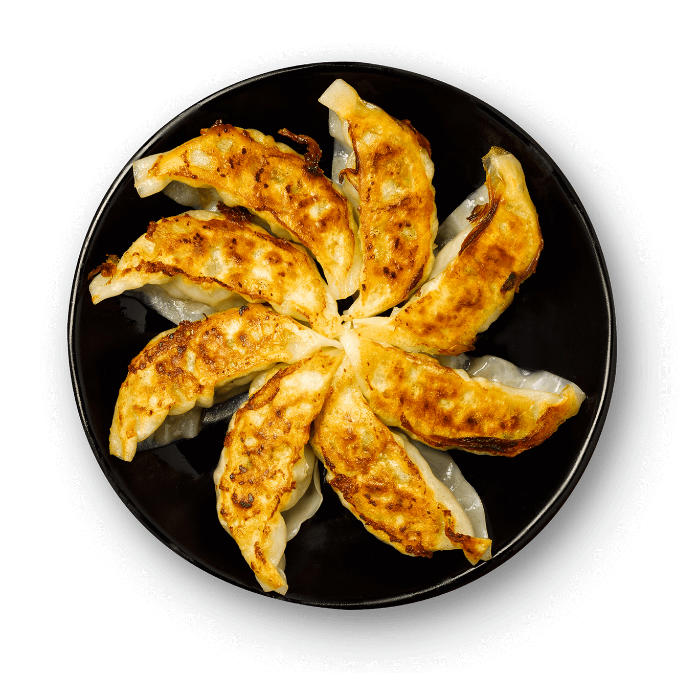 gyoza_0909